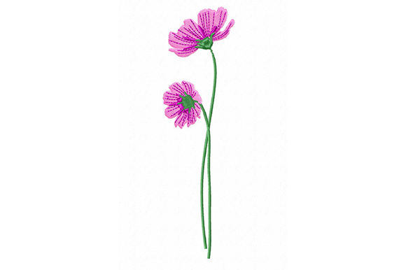 Pink Cosmos Flowers: A Delicate Touch for Holiday Creations